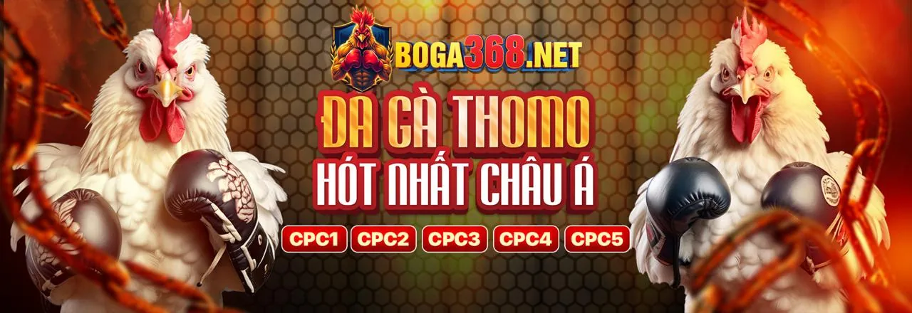 Tải ứng dụng lc88 apk cho trải nghiệm cá cược di động đỉnh cao